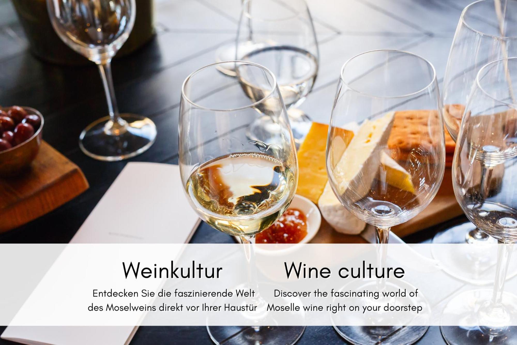Winzerhaus Am Calmont - Raumwunder Mit Moselblick Lejlighed Bremm Eksteriør billede